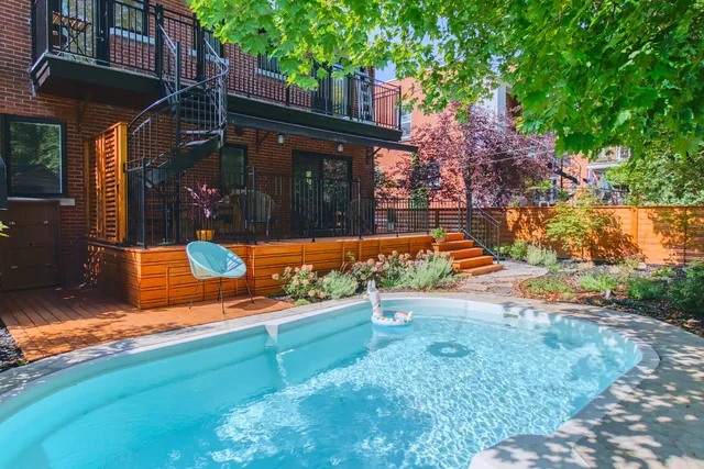 A backyard pool with a wide slab deck, planting and a modern house behind it.